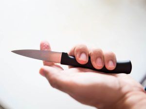 Pairing Knife